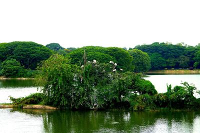 Scenic view of lake against clear sky