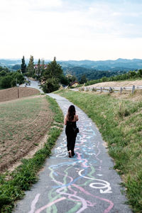 Rear view of mid adult walking on road with colorful markings