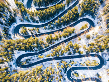 High angle view of road amidst trees in city