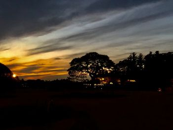 Silhouette trees on field against sky during sunset