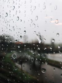 Close-up of raindrops on window