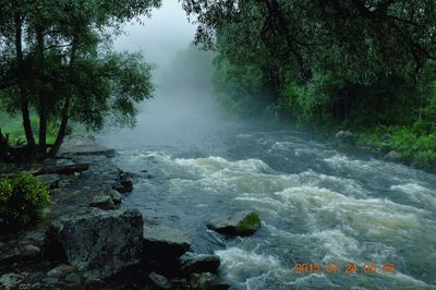 Scenic view of waterfall in forest