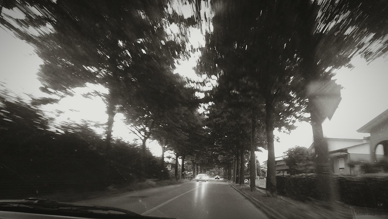 STREET AMIDST TREES AGAINST SKY