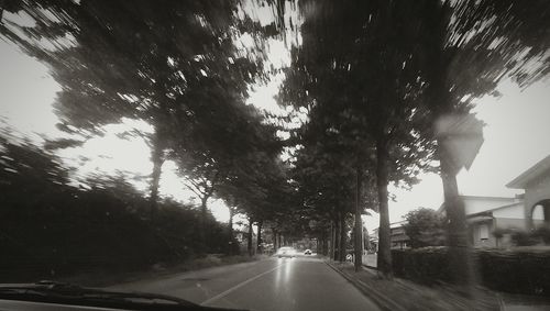 Road amidst trees against sky in city