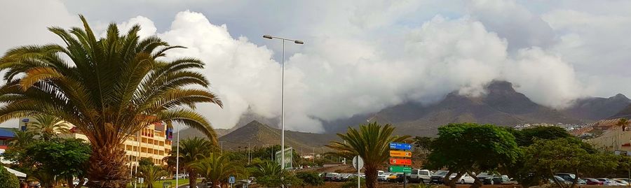 Panoramic view of palm trees against sky