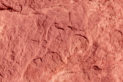 Close-up of footprints on rock