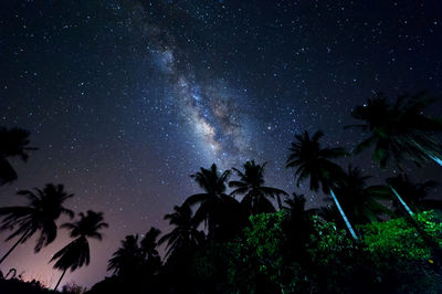 Low angle view of silhouette trees against sky at night