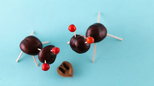 High angle view of berries on table against blue background