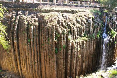 Panoramic shot of wooden post in forest