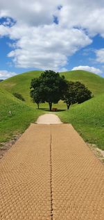 Scenic view of trees on field against sky