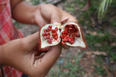 Close-up of hand holding strawberry