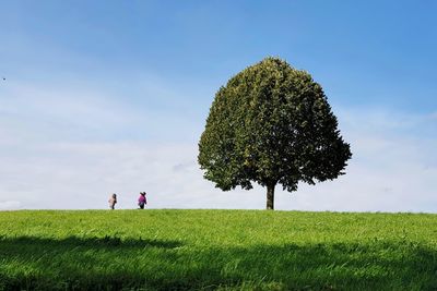 Rear view of woman walking on field against sky