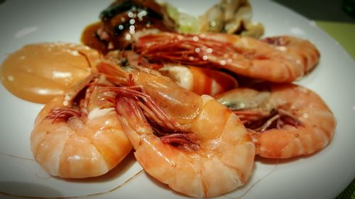 Close-up of seafood in plate