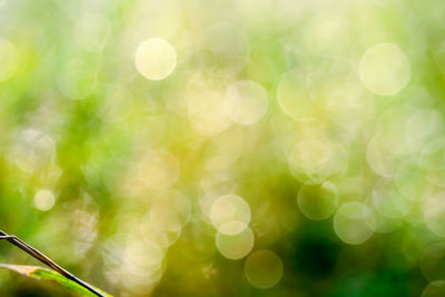 Defocused image of lights