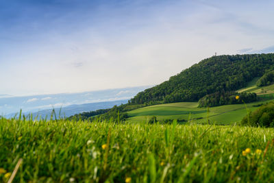 Scenic view of landscape against sky