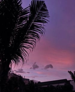 Low angle view of silhouette palm trees against sky at sunset