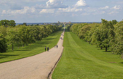 Scenic view of green landscape against sky