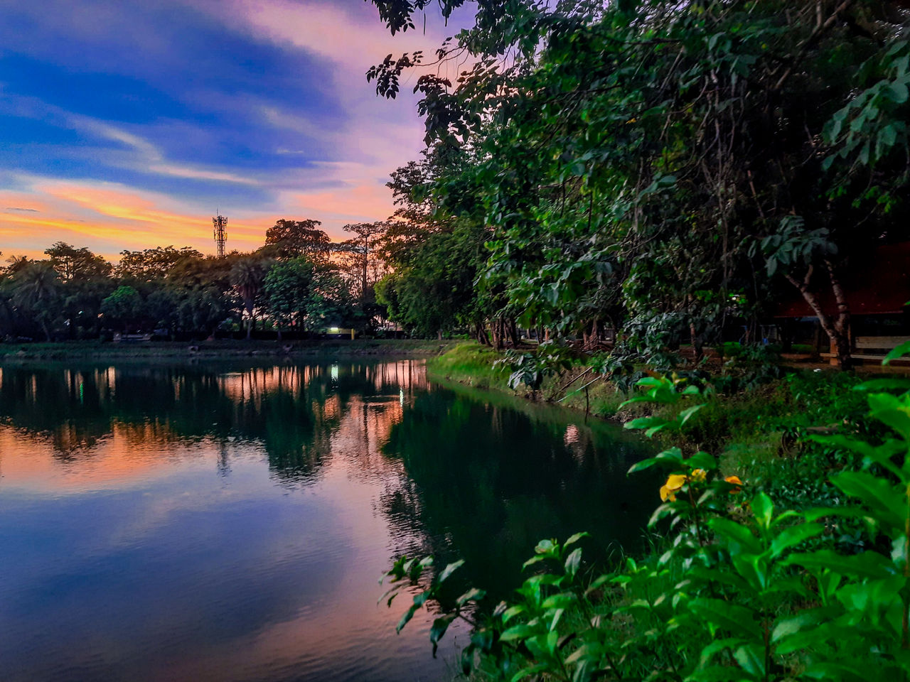 water, nature, reflection, plant, tree, sky, beauty in nature, river, tranquility, sunset, scenics - nature, environment, cloud, no people, landscape, architecture, evening, travel destinations, tranquil scene, outdoors, leaf, flower, land, dusk, body of water, travel, green, multi colored, tourism, idyllic, autumn