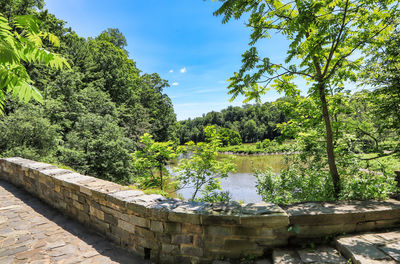 Scenic view of river by trees against sky