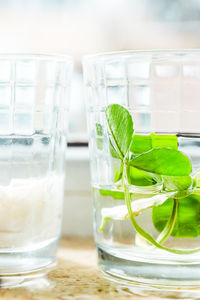 Close-up of drink in glass on table