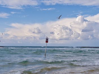 Seagull flying over sea against sky