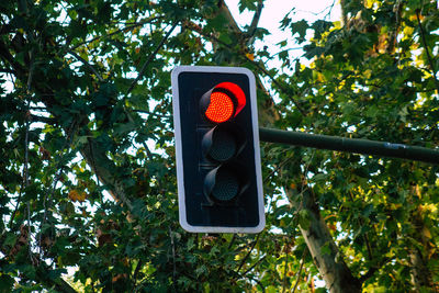 Low angle view of road sign against trees