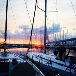 Sailboats in marina at sunset