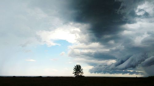 Scenic view of field against sky