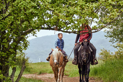 Branches against father and son riding horse on field