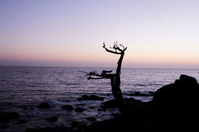 Silhouette rocks on beach against sky during sunset