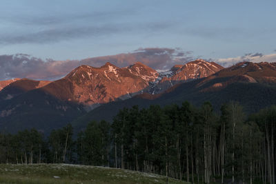 Scenic view of trees growing against mountains