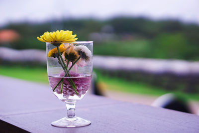 Close-up of purple flower on table