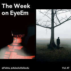 Rear view of silhouette man standing by tree against sky