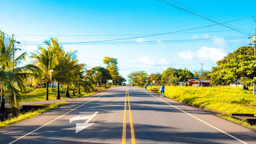 Road amidst trees against sky