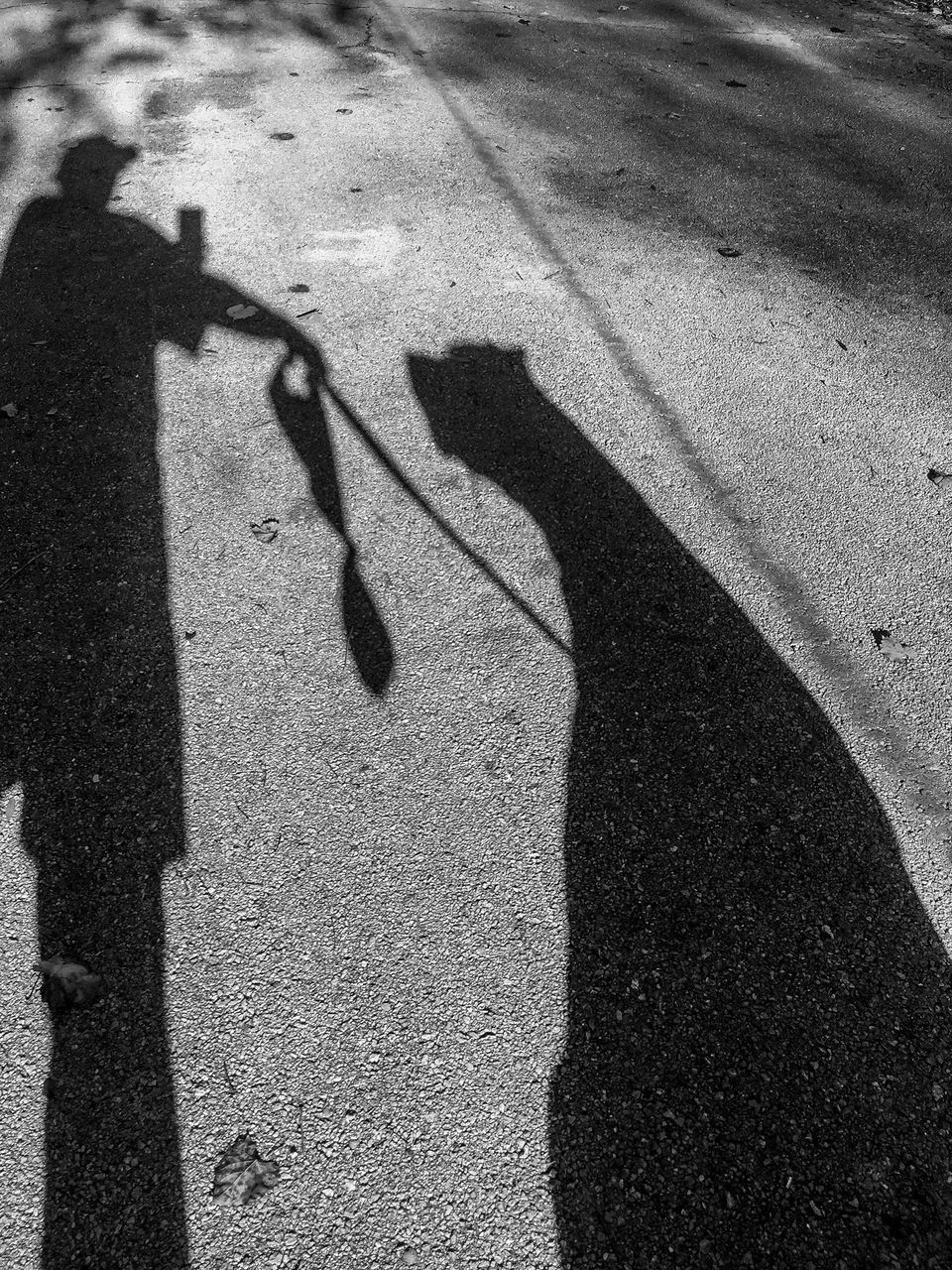 SHADOW OF MAN AND PERSON ON ROAD