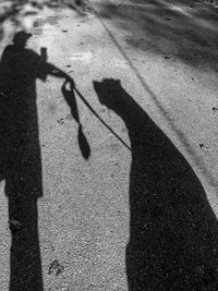 Shadow of man on road