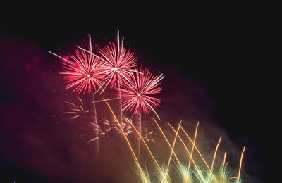 Low angle view of firework display at night