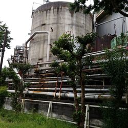 Low angle view of building by trees against sky