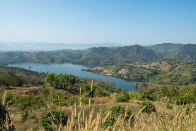 environment