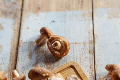 Close-up of snail on table