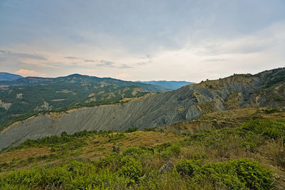 environment