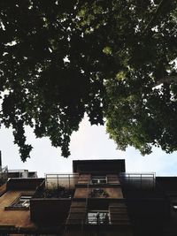 Low angle view of trees and buildings against sky