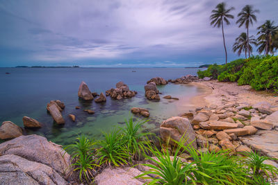 Scenic view of sea against sky