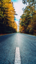 Empty road amidst trees during autumn