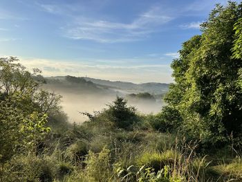 Scenic view of landscape against sky