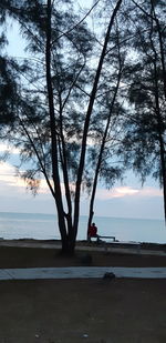 Trees by sea against sky during sunset