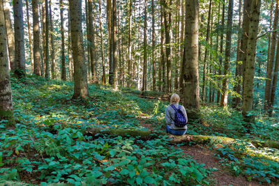 Girl traveler sits on a tree among the forest