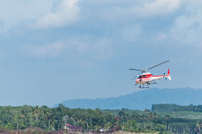 Low angle view of helicopter over trees against sky on sunny day