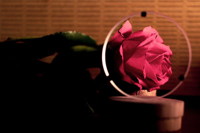 Close-up of rose on table