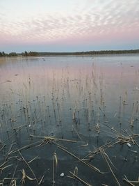 Scenic view of lake against sky during sunset